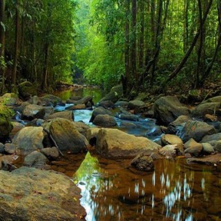 Tv RIACHO ESTRELADO 777